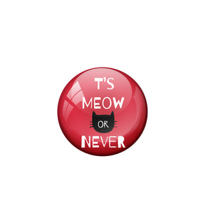 Its Meow or never Fridge Magnet
