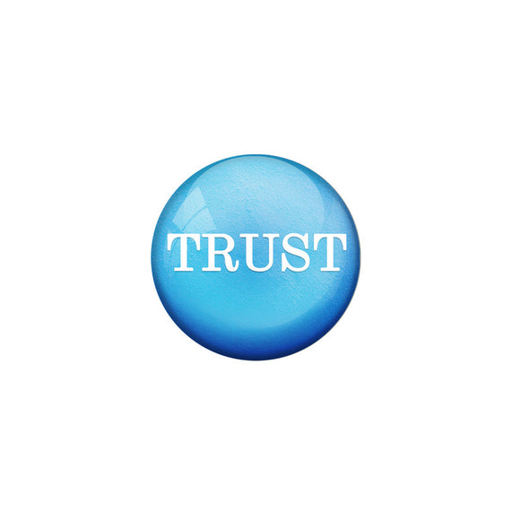AVI Blue Colour Metal Badge Trust