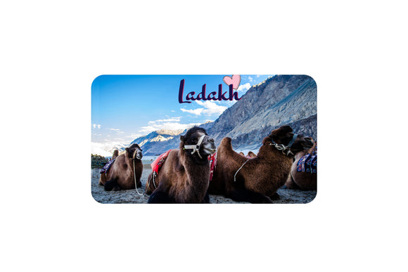 AVI Rectangular Fridge Magnet Multicolor Ladakh India Travel souvenir Camel RFM00090