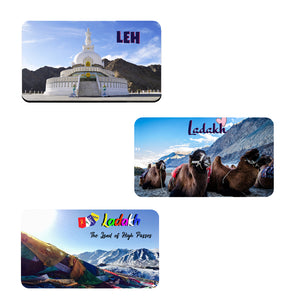AVI Rectangular Pack of 3 Fridge Magnets Multicolor Ladakh Leh India Travel Souvenir C3RFM00124